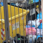 Cuneo: “Ogni domenica in via Amedeo Rossi cassonetti pieni e rifiuti abbandonati tutto intorno” Cuneo: “Ogni domenica in via Amedeo Rossi cassonetti pieni e rifiuti abbandonati tutto intorno”