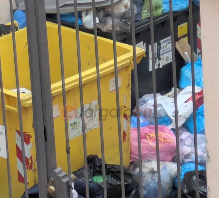 Cuneo: “Ogni domenica in via Amedeo Rossi cassonetti pieni e rifiuti abbandonati tutto intorno”