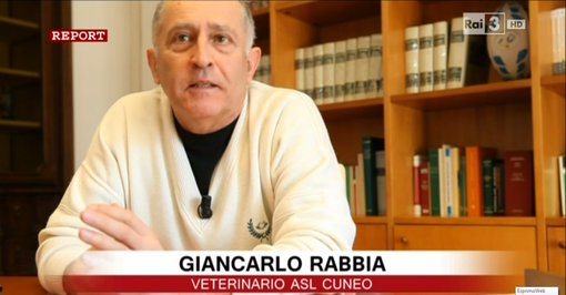 Giancarlo Rabbia, veterinario dell'Asl CN1 che ha svelato come si dopavano i vitelli, si &quot;confessa&quot; a Report