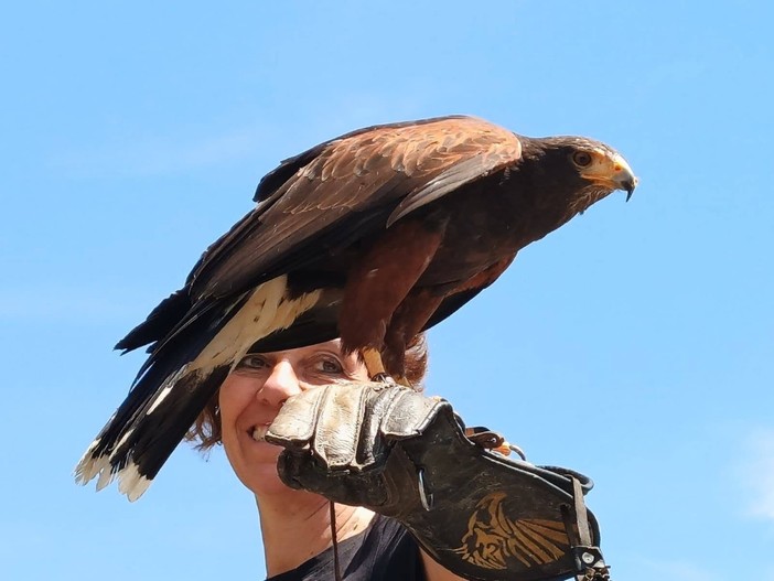 Nel primo fine settimana di settembre quattro appuntamenti in valle Varaita tra natura, bici e falconeria Nel primo fine settimana di settembre quattro appuntamenti in valle Varaita tra natura, bici e falconeria