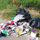 Rifiuti abbandonati lungo la “Lea” di Carassone: individuato uno dei responsabili