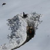 In corso lo sgombero da Demonte verso il Fauniera: al suolo oltre due metri di neve