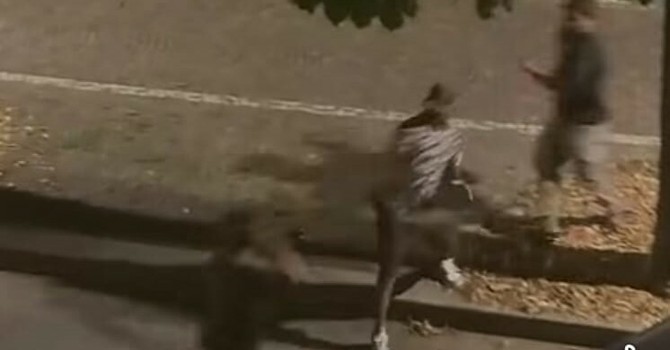 Un nuovo video per un nuovo episodio di violenza a Cuneo: rissa in corso Dante