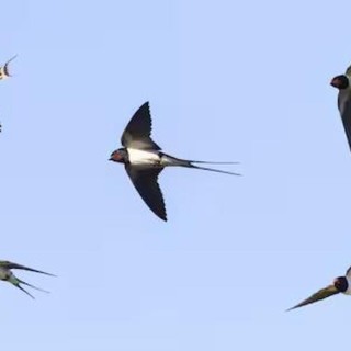 Immagine di repertorio