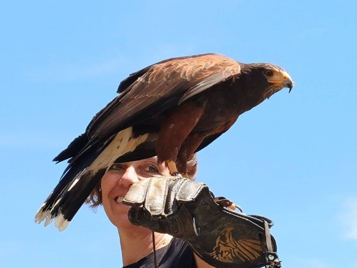 Nel primo fine settimana di settembre quattro appuntamenti in valle Varaita tra natura, bici e falconeria Nel primo fine settimana di settembre quattro appuntamenti in valle Varaita tra natura, bici e falconeria