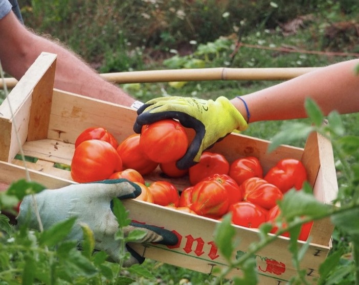 Immagine di repertorio Immagine di repertorio