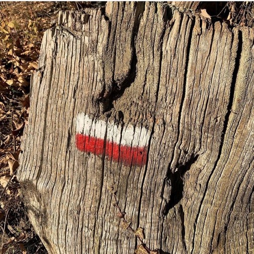 Con “Segnavia” ci si ispira alla traccia di vernice colorata, di solito rossa e bianca, che in montagna viene lasciata su piante o rocce per indicare la strada agli escursionisti