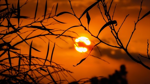 Notte rovente nella Granda: l'anticiclone non dà tregua, temperature inchiodate sopra i 20 gradi all'alba. Anche oggi attesi 35° Notte rovente nella Granda: l'anticiclone non dà tregua, temperature inchiodate sopra i 20 gradi all'alba. Anche oggi attesi 35°