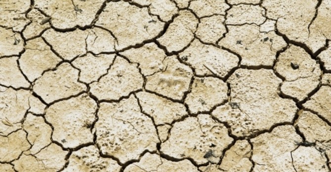 Confagricoltura Piemonte: più risorse per credito agrario e cooperative contro la siccità Confagricoltura Piemonte: più risorse per credito agrario e cooperative contro la siccità