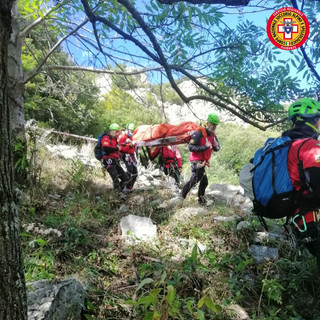 Cade nei boschi e si ferisce mentre raccoglie con funghi con il marito a Valloriate Cade nei boschi e si ferisce mentre raccoglie con funghi con il marito a Valloriate