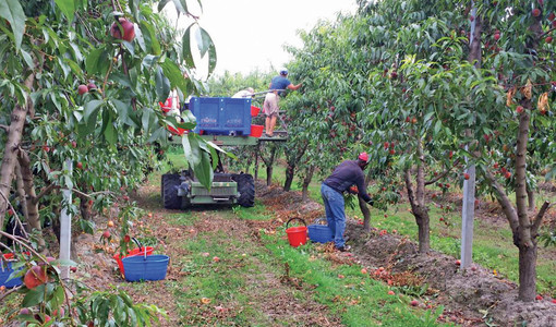 Immagine di repertorio