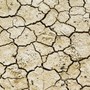 Confagricoltura Piemonte: più risorse per credito agrario e cooperative contro la siccità