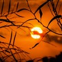 Notte rovente nella Granda: l'anticiclone non dà tregua, temperature inchiodate sopra i 20 gradi all'alba. Anche oggi attesi 35° Notte rovente nella Granda: l'anticiclone non dà tregua, temperature inchiodate sopra i 20 gradi all'alba. Anche oggi attesi 35°