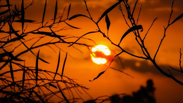 Notte rovente nella Granda: l'anticiclone non dà tregua, temperature inchiodate sopra i 20 gradi all'alba. Anche oggi attesi 35°