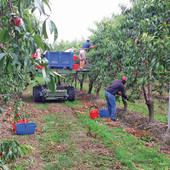 Immagine di repertorio