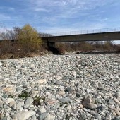 Siccità, Coldiretti Cuneo: "Corsi d'acqua cuneesi fino a -70% della portata" Siccità, Coldiretti Cuneo: "Corsi d'acqua cuneesi fino a -70% della portata"