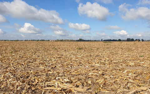 Confagricoltura Piemonte: “Più risorse per sostenere le aziende agricole colpite dalla siccità”