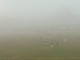 Calcio Serie D: il Saluzzo si aggiudica il derby con il Fossano, nella nebbia decide una doppietta di Gaboardi
