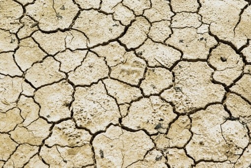 Confagricoltura Piemonte: più risorse per credito agrario e cooperative contro la siccità