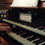 Domenica il primo appuntamento con la musica sacra in Santuario di Vicoforte Domenica il primo appuntamento con la musica sacra in Santuario di Vicoforte