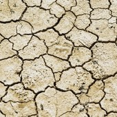 Confagricoltura Piemonte: più risorse per credito agrario e cooperative contro la siccità Confagricoltura Piemonte: più risorse per credito agrario e cooperative contro la siccità