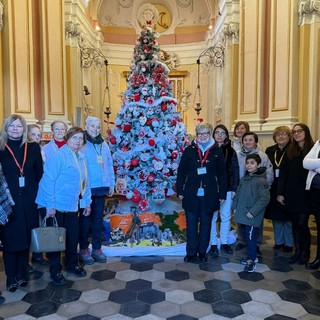 Albero della solidarietà a Narzole Albero della solidarietà a Narzole