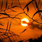 Notte rovente nella Granda: l'anticiclone non dà tregua, temperature inchiodate sopra i 20 gradi all'alba. Anche oggi attesi 35° Notte rovente nella Granda: l'anticiclone non dà tregua, temperature inchiodate sopra i 20 gradi all'alba. Anche oggi attesi 35°