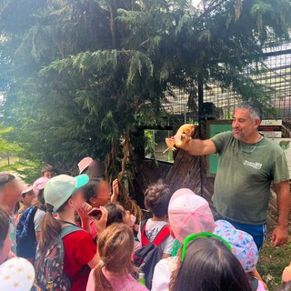 Piano estate della Scuola Primaria di Sale delle Langhe: una giornata di scoperte e meraviglia al Parco Safari di Murazzano
