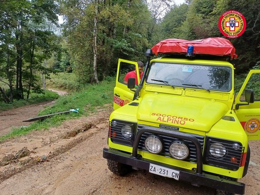 Andare per funghi, in sicurezza: i consigli del Soccorso Alpino e Speleologico Piemontese Andare per funghi, in sicurezza: i consigli del Soccorso Alpino e Speleologico Piemontese