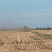 A Salmour scatta l'obbligo immediato di interrare compost e fertilizzanti: “Cattivi odori insostenibili”