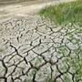 Siccità, Coldiretti Cuneo: l'emergenza continua, serve un confronto in regione Siccità, Coldiretti Cuneo: l'emergenza continua, serve un confronto in regione