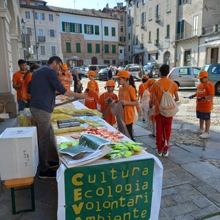 Immagine di repertorio