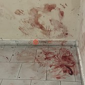 Piazza Boves: ieri sera la riunione sulla sicurezza, nella notte sangue e bottiglie rotte [VIDEO]