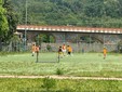 Nucetto