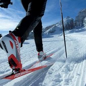 Immagine di repertorio Immagine di repertorio