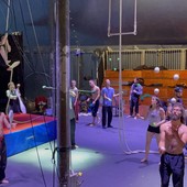 A Mondovì l'anteprima dello spettacolo "Impromptu" diretto da Jérôme Thomas e con gli studenti di Cirko Vertigo [L'INTERVISTA]