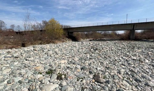 Siccità, Coldiretti Cuneo: "Corsi d'acqua cuneesi fino a -70% della portata" Siccità, Coldiretti Cuneo: "Corsi d'acqua cuneesi fino a -70% della portata"