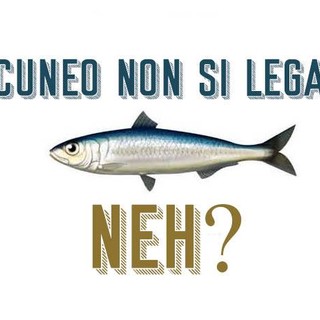 3.817 sardine a Cuneo in meno di 24 ore: “Ci piacerebbe fare un flash mob a Cuneo sull'onda della manifestazione di Bologna”