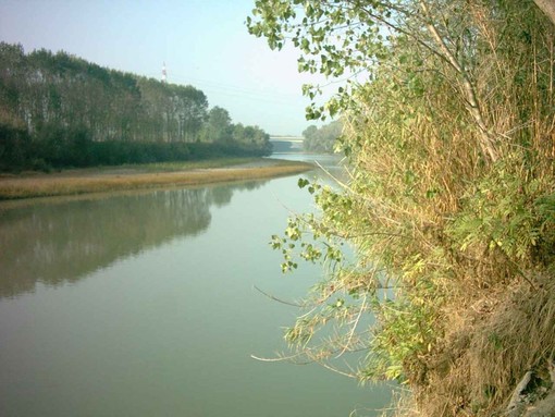 Il fiume Tanaro, foto di repertorio