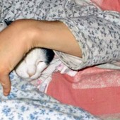 Tato e i manifesti funebri non concessi a Cuneo Tato e i manifesti funebri non concessi a Cuneo