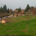 La tartufaia inaugurata a Grinzane