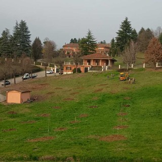 La tartufaia inaugurata a Grinzane