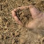 Siccità, Confagricoltura Cuneo: “Non è più un’emergenza, ma una criticità strutturale per l’intero comparto agricolo” Siccità, Confagricoltura Cuneo: “Non è più un’emergenza, ma una criticità strutturale per l’intero comparto agricolo”