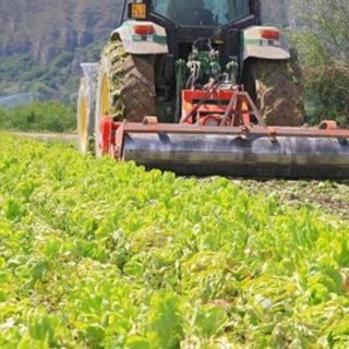 Patentino per il trattore in scadenza: al via i corsi di aggiornamento obbligatori