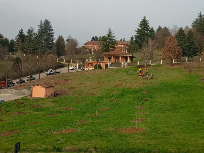 La tartufaia inaugurata a Grinzane