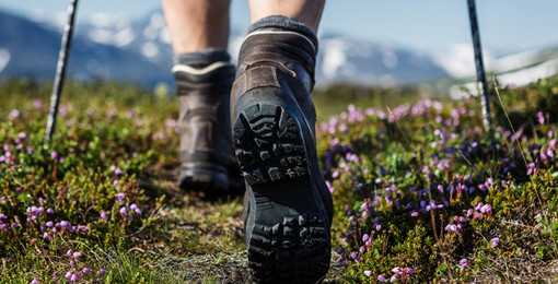 Immagine di repertorio Immagine di repertorio