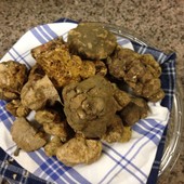 Alba si prepara a un nuovo weekend di gusto: quattro appuntamenti per la Fiera del Tartufo Alba si prepara a un nuovo weekend di gusto: quattro appuntamenti per la Fiera del Tartufo