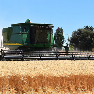Lavorazioni agromeccaniche, in Granda scatta l’aumento del 20%: "Scelta obbligata per salvare le imprese" Lavorazioni agromeccaniche, in Granda scatta l’aumento del 20%: "Scelta obbligata per salvare le imprese"
