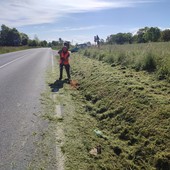 E' l'incrocio tra una strada provinciale e una strada statale, ma chi deve tagliare l'erba è il Comune di Gaiola