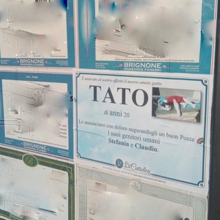 Necrologi di Tato a Boves e Borgo, ma non a Cuneo, la Mallone: "Istituire una bacheca per gli animali d'affezione"